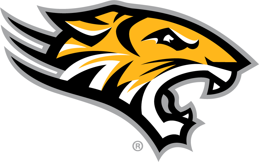 Towson Tigers 2011-Pres Secondary Logo iron on transfers for T-shirts